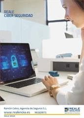 Ciber Seguridad para los Ciber Riesgos